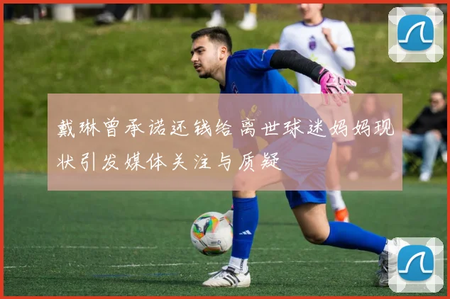 戴琳曾承诺还钱给离世球迷妈妈现状引发媒体关注与质疑