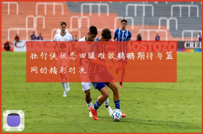 独行侠状态回暖难敌鹈鹕期待与篮网的精彩对决