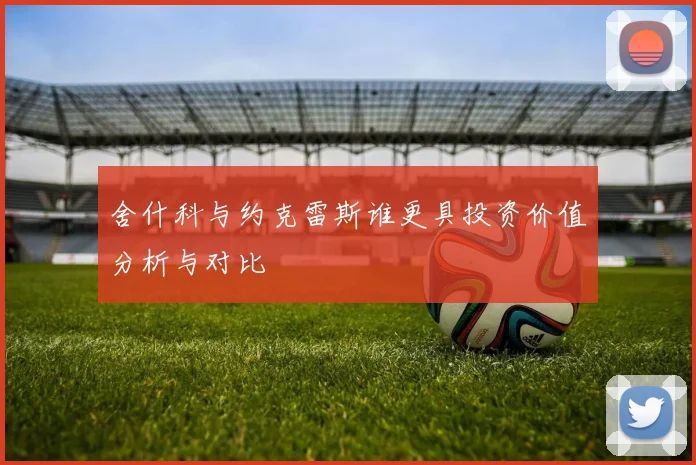 舍什科与约克雷斯谁更具投资价值分析与对比
