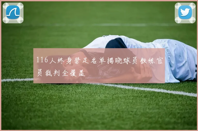 116人终身禁足名单揭晓球员教练官员裁判全覆盖