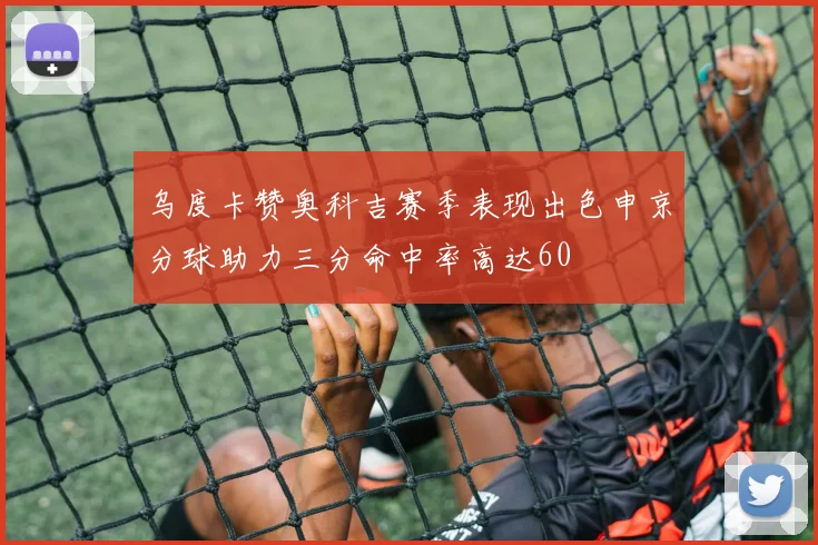 乌度卡赞奥科吉赛季表现出色申京分球助力三分命中率高达60